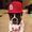 Photo of Bullet P.