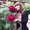 Photo of Boyana M.