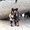 Photo of Laura M.