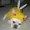 Photo of S. K.