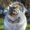 Photo of Portly S.