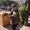 Photo of Cathy S.