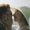Photo of Qype User (doroth…)