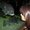 Photo of Wajiha A.