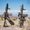 Photo of Michael M.