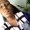 Photo of Rachelle A.