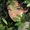 Photo of Arianna R.