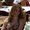 Photo of Melissa T.