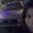 Photo of Estela P.