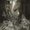 Photo of Darlene H.