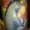 Photo of Stacia S.
