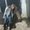 Photo of Larysa K.