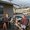 Photo of Eitan H.