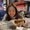 Photo of Alyssa L.