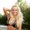 Photo of Annaliese R.
