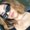 Photo of Lizette L.