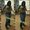 Photo of Aminah C.