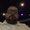 Photo of Damian D.