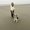 Photo of Riddhi G.