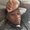 Photo of Tyrell G.