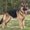Photo of Korey C.