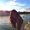 Photo of Priya B.