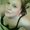 Photo of Stacie Caruso C.