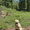 Photo of Hiking L.