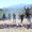 Photo of Jeffrey M.
