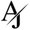 Photo of Andy J.
