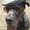 Photo of Charley H.