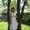 Photo of Zoe M.