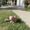 Photo of Karina M.
