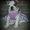 Photo of Roxanne A.
