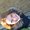 Photo of Femke B.