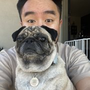 google avatar
