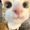 Photo of SweetLolly360