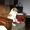 Photo of Jacie T.