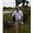 Photo of Dave M.