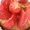 Photo of Jeewon C.
