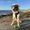 Photo of Cachi L.
