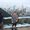 Photo of Wesley W.