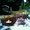 Photo of Qype User (main-v…)