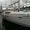 Photo of Viento M.