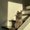 Photo of Lizzeth M.
