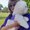 Photo of Candice S.