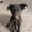 Photo of Angel H.