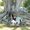 Photo of Kathy S.