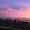 Photo of M P.