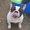 Photo of Lissette M.